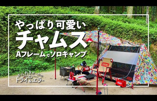 【ソロキャンプ第27弾】久々！やっぱり可愛いチャムスのAフレームテントで夏キャンプin北山キャンプ場【かんれきガールのトライ& エラー#63】