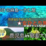 ④[奄美大島2日目/後半]行き当たりばったり・女ひとり旅/加計呂麻島_実久ビーチ，シュノーケリング，古仁屋，生間港,うみがめ隊，渡連，with DiO