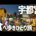 【グルメ食べ歩き】宇都宮・日光ひとり旅vlog【観光・グルメ・一人旅・旅行動画・おひとりさま・ぼっち】