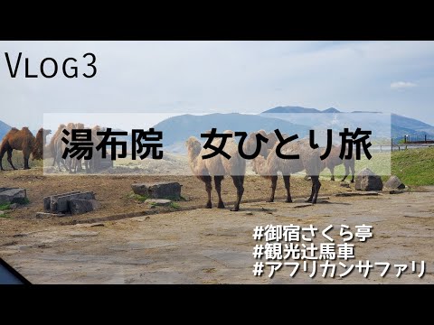 【湯布院女ひとり旅 #3】さくら亭(御宿)/アフリカンサファリ(九州自然動物公園)