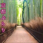 【ひとり日帰り旅】京都嵐山をのんびり散歩/Walking Around Kyoto Arashiyama