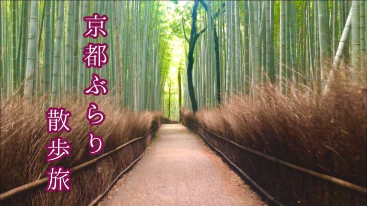 【ひとり日帰り旅】京都嵐山をのんびり散歩/Walking Around Kyoto Arashiyama