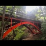 【等々力渓谷】男一人旅で自然の中をまったり散歩ASMR /Vlog