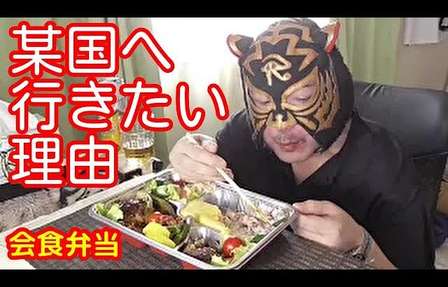 会食弁当 作ったけど独り飯【飯テロ 飯動画 お弁当 ソロ弁当 ピン飯】Mukbang eating show Japan