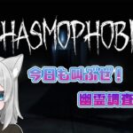 【#Phasmophobia】なっさんのお散歩🐾　中マップ一人で探索できるかな？　 #88【#Vtuber】