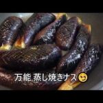 今年もどんだけ🍆ナス食べる？ 田舎暮らし★一人飯 ＆ わんこ