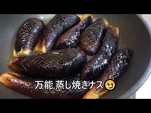 今年もどんだけ🍆ナス食べる？ 田舎暮らし★一人飯 ＆ わんこ