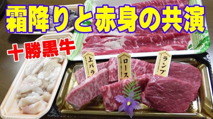 【焼肉晩酌】霜降りと赤身の共演！≪十勝黒牛≫ホルモンもあるよ～！【焼肉】【肉】【飯】