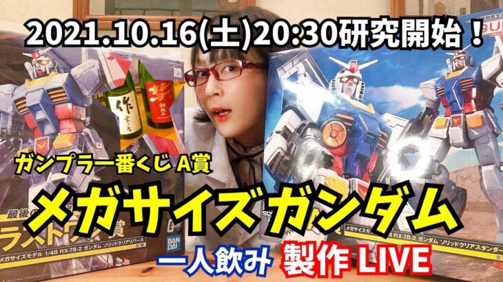 【一人飲み】ガンプラ一番くじ A賞 メガサイズガンダム 製作 LIVE 【ガンプラ】2021年10月16日（土）