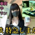 【女ひとり旅】近鉄の観光特急しまかぜ乗車レポ／カフェ車両が最高すぎた