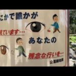 【群馬県一人旅】いせさき市民の森を散歩してきた