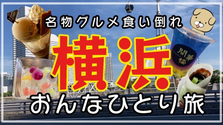 【横浜女ひとり旅】みなとみらい・中華街でグルメ食べ歩き【食いだおれ】