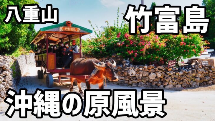 【竹富島男1人旅】水牛車と三線の唄で沖縄を全身で感じられる島【八重山諸島#2】