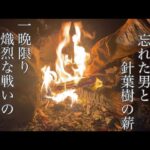 【流し見専用】1/fの揺らぎで炎を眺める一人飲みキャンプパー専用動画