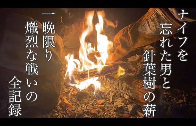 【流し見専用】1/fの揺らぎで炎を眺める一人飲みキャンプパー専用動画