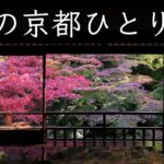 【京都の紅葉2021】ひとり旅で瑠璃光院、詩仙堂、八瀬もみじの小径へ