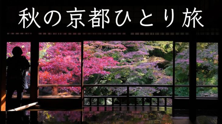 【京都の紅葉2021】ひとり旅で瑠璃光院、詩仙堂、八瀬もみじの小径へ