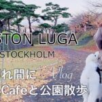 【50代主婦】VLOG/一人cafeデビュー/公園散歩/GASTON LUGAトーテレビュー/ブラックフライデー