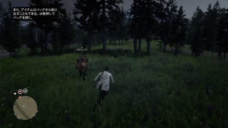 ［RDO]深夜の男一人旅［マークン視点］