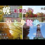 【ひとり旅】札幌紅葉!! 北大イチョウ並木&中島公園をのんびり一人散歩！