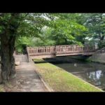 【埼玉県一人旅】若泉公園をとことこ散歩してきた