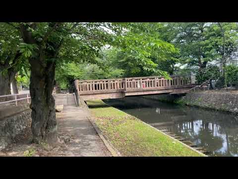 【埼玉県一人旅】若泉公園をとことこ散歩してきた