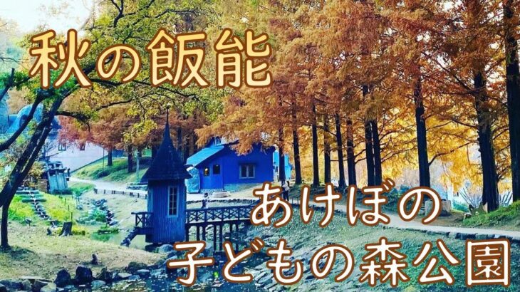 【紅葉ひとり散歩】秋の飯能 あけぼの子どもの森公園　ムーミンのおうち