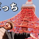 【孤独な男ひとり旅】彼女も友達もいないのでぼっちで東京タワーに登ってきました