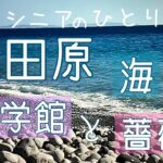 小田原　海　文学館　薔薇　秋散歩　シニアのひとり旅