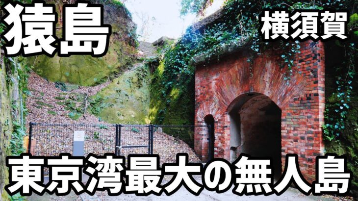 【猿島男1人旅】神奈川県民割でお得に横須賀観光