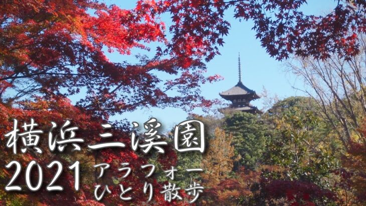 【アラフォー 一人散歩】横浜三溪園 2021 紅葉 今が見頃 見なきゃ損！？