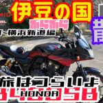 HONDA cb400sb で伊豆半島ざんねん散歩　なんだかんだあったよ一人旅【モトブログ】Divien Sonic sucha#65