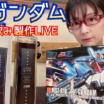 【一人飲み】ZZガンダム 製作 LIVE 【ガンプラ】