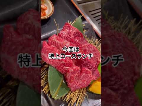 一人焼肉出来る焼肉屋って？#shorts（松山市問屋町　問屋町バルズ　黒牛邸）