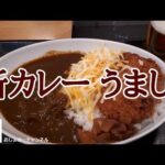 「なか卯」の新カレーで一人飲みにして来ました。おいしくなっています！＾＾