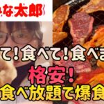 【食べ放題】すたみな太郎で一人焼肉‼️格安✨食べ放題でお肉とお寿司とデザートを限界まで食べまくる‼️