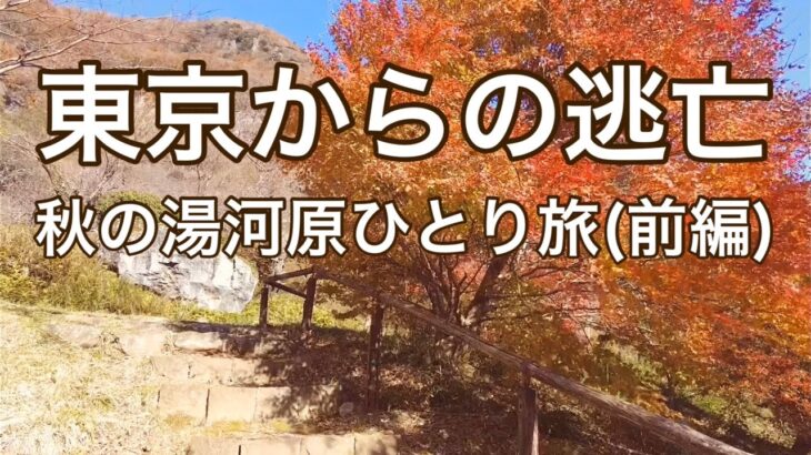 【女ひとり旅】湯河原は紅葉もきれい/東京に疲れたら