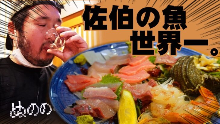 【美味なる刺身を求めて】ウッチーの一人飲み