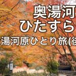 【女ひとり旅】秋の奥湯河原を満喫/川に、山に、海に