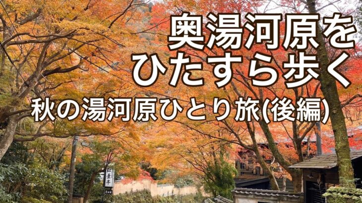 【女ひとり旅】秋の奥湯河原を満喫/川に、山に、海に