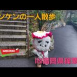 一人散歩【福岡県篠栗町】