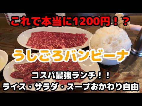 コスパ最強ランチ【うしごろバンビーナ】1200円⁉(税抜き) 一人焼肉 一人飯