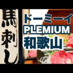 【女ひとりビジホ泊】今回も渋くて地味でオチのない動画です。。。｜ドーミーインPREMIUM和歌山｜馬刺しと地鶏とマグロ 梅屋｜中華そば 丸美商店【ホテルステイ】