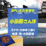 【ひとり遠足】小田原さんぽ/ミナカ/かまぼこ通り/小田原城/海/地酒