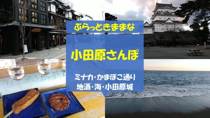 【ひとり遠足】小田原さんぽ/ミナカ/かまぼこ通り/小田原城/海/地酒