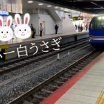 白うさぎの車窓が最高だった｜京都｜女の一人旅