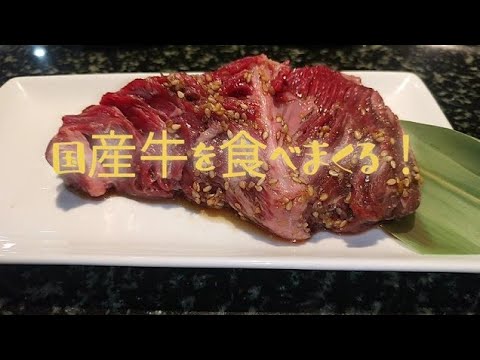 【国産和牛／一人焼肉】チャンネル名を変更してみたので【和牛フェアの国産牛焼肉スエヒロ館】で豪遊してみた。