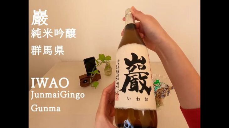 一人飲み 日本酒 巖  群馬県 あげうどん SAKE Nihonshu IWAO Gunma Fried noodle 사케 니혼슈 이와오 군마 우동튀김 ASMR