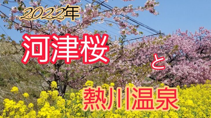 【女一人旅】河津桜の帰りに熱川温泉行って最高でした！