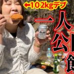 【独身デブ】102kgワイ、一人で公園飲み【酒クズの休日】